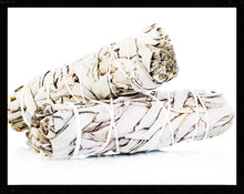 Load image into Gallery viewer, White Sage Smudge Stick/Bundle/Loose