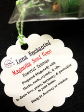 Load image into Gallery viewer, Magnolia Seed Cone