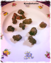 Load image into Gallery viewer, Lucky Lodestone