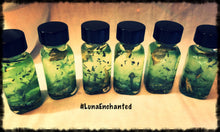 Load image into Gallery viewer, Shi-Shi Oil