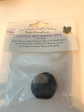 Load image into Gallery viewer, Lucky Buckeye Nut