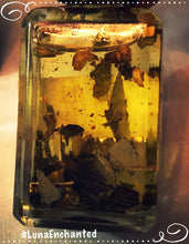 Load image into Gallery viewer, Algiers Oil