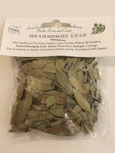 Load image into Gallery viewer, Bearberry Leaf