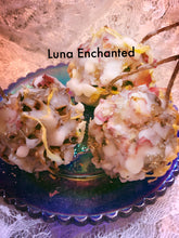 Load image into Gallery viewer, Fixed Witches Burr