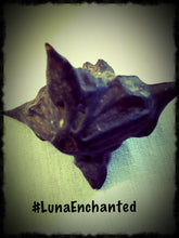 Load image into Gallery viewer, Devil's Pod aka Bat Nut