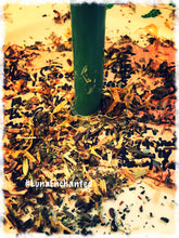 Load image into Gallery viewer, Attract Wealth Spell Kit