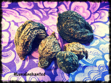 Load image into Gallery viewer, High John the Conqueror Root