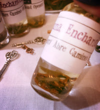 Load image into Gallery viewer, Road Opening (Abre Camino) Oil