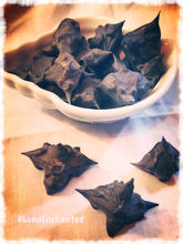 Load image into Gallery viewer, Devil's Pod aka Bat Nut