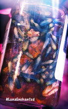 Load image into Gallery viewer, Marie Laveau Queen of Voodoo All purpose- Triple Strength Oil