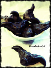 Load image into Gallery viewer, Devil's Pod aka Bat Nut