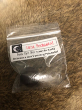 Load image into Gallery viewer, Lucky Buckeye Nut
