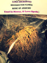 Load image into Gallery viewer, Rose of Jericho Resurrection Flower