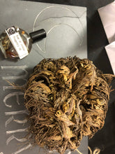 Load image into Gallery viewer, Rose of Jericho Resurrection Flower
